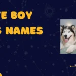 Cute Boy Dog Names