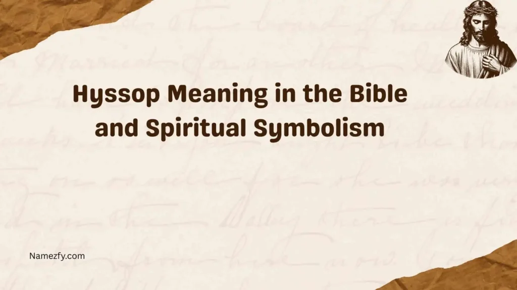 Hyssop Meaning in the Bible and Spiritual Symbolism