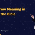 Sparrow Meaning in the Bible 