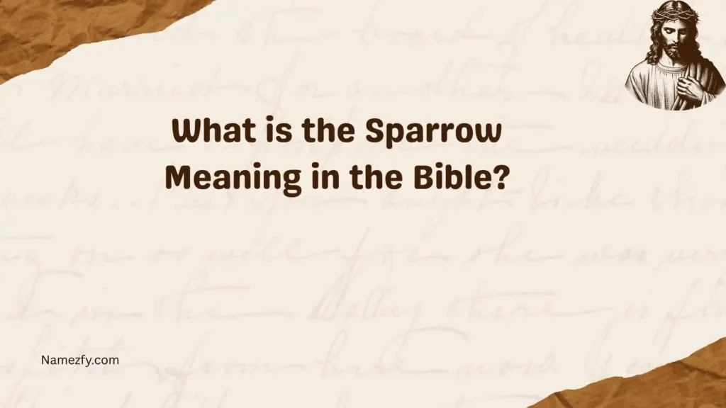What is the Sparrow Meaning in the Bible