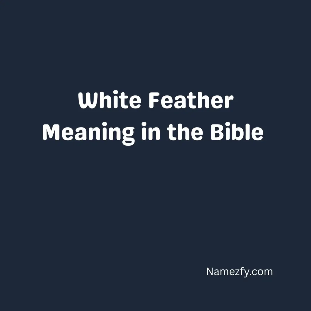 White Feather Meaning in the Bible