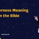 Wilderness Meaning in the Bible 