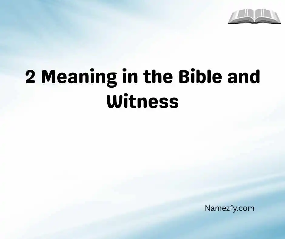 2 Meaning in the Bible and Witness