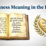 Kindness Meaning in the Bible