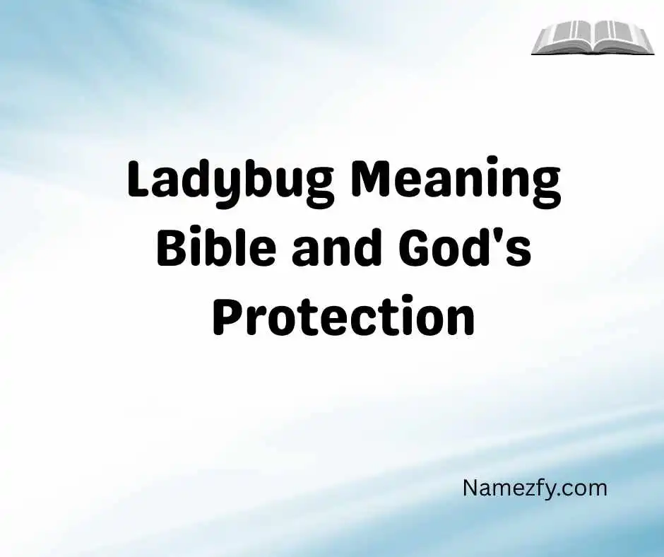 Ladybug Meaning Bible and God's Protection