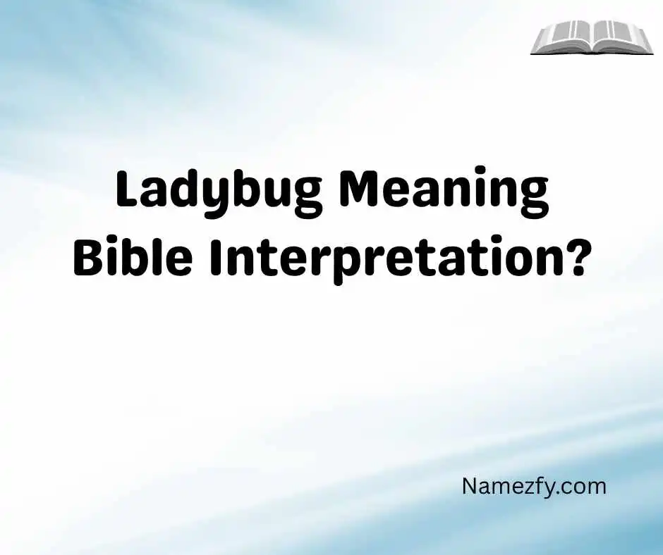 Ladybug Meaning Bible Interpretation