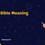 MSG Bible Meaning