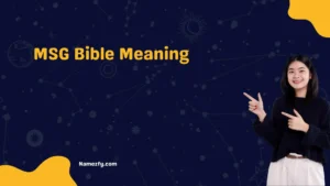 MSG Bible Meaning