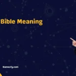 NLT Bible Meaning 