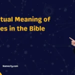 Spiritual Meaning of Trees in the Bible 