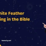White Feather Meaning in the Bible 
